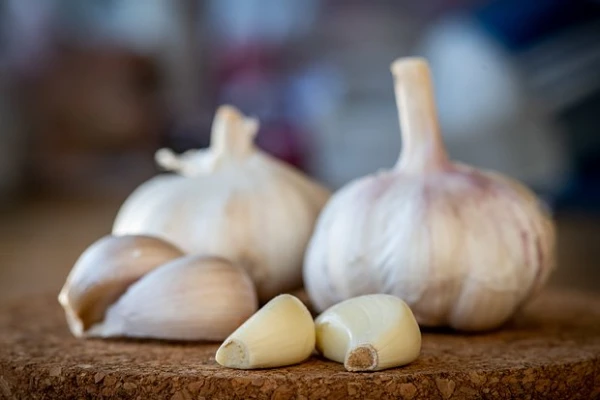 Natural Product Proves to Be a Powerful Defender of Oral Cavity