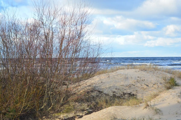 Европа приготовилась карать тех, кто загрязняет природу. Фото автора.