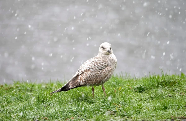 Meteorologists revealed what to expect on the last working day of the week