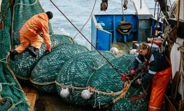 Estonia and Russia Agree on Fishing Quotas for Lake Peipus, Lake Warm, and Lake Pskov