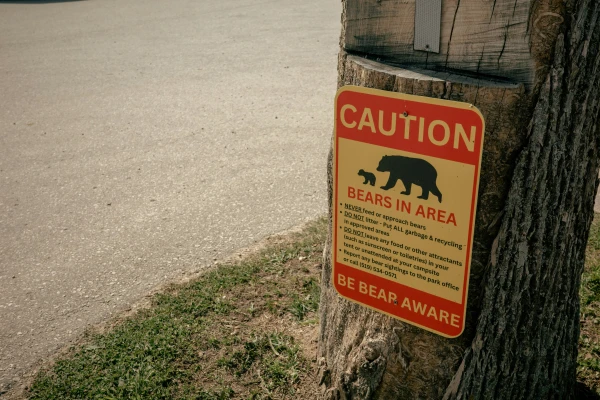 In Canada, 11 people were injured in a bear attack on a group of schoolchildren