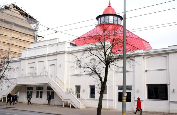 Animation, Dance, Circus: How One Million Euros Will Be Redistributed in the Cultural Budget