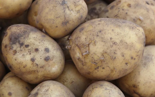 Why Potatoes Should Hold an Important Place in a Healthy Diet