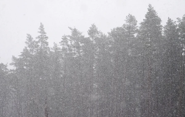 Meteorological Winter Has Begun in Latvia