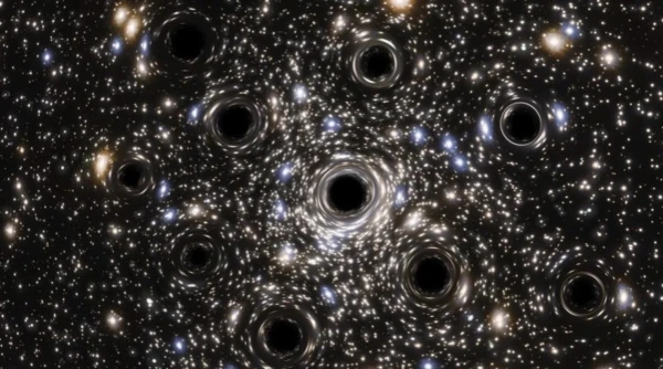 What Happens to a Person if a Small Black Hole Collides with Them: Physicists Have an Answer