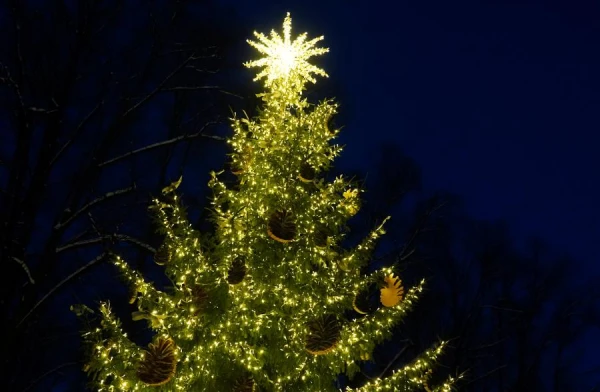 The main Christmas tree will be lit in Riga on Saturday