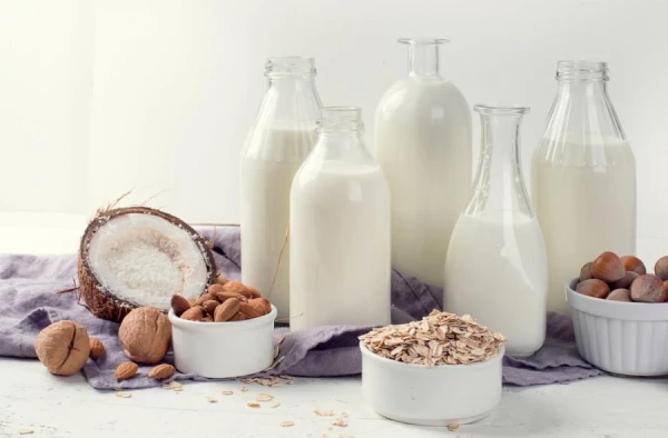 How to Make Plant-Based Milk at Home and Its Uses