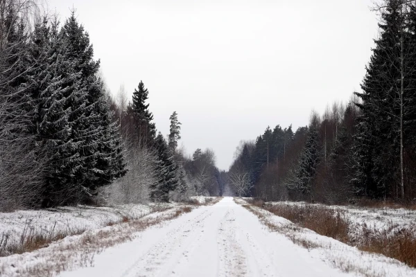 No significant precipitation is expected on Tuesday