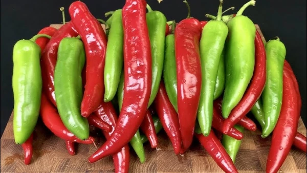 Scientists Create an Artificial Language for Accurate Measurement of Food Spiciness