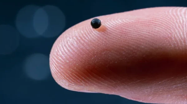 A Tiny Courier Robot for Delivering Medications Through Veins Created in Switzerland