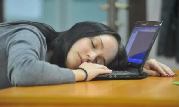 The Diversity of Chronotypes: What Do 'Owls' and 'Larks' Represent?