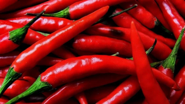 When Spicy Food Can Be Beneficial