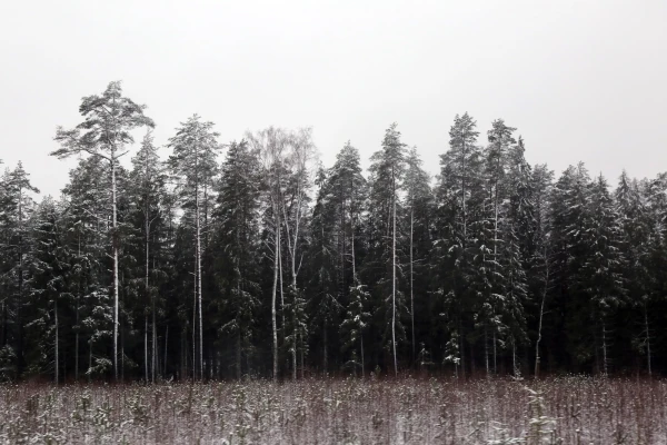 Meteorologists have reported what the beginning of December will be like in Latvia