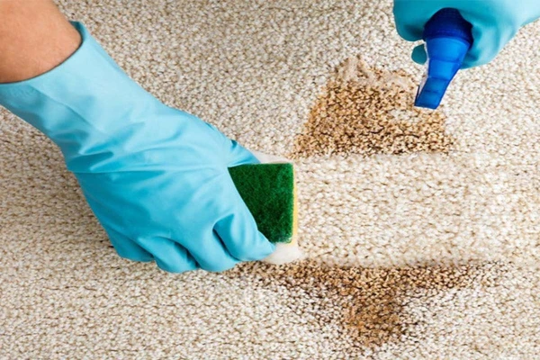 Simple and Effective Life Hacks to Help Clean Carpets