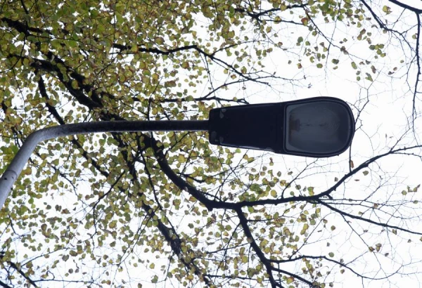 Procurement: buying light bulbs for pennies, while selling them to the state at exorbitant prices!