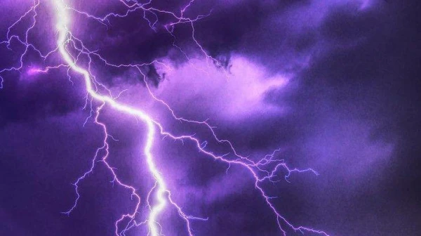 Can a tree survive a lightning strike?