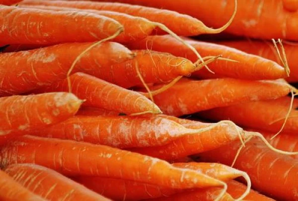 What Color of Carrot Contributes to Improved Vision