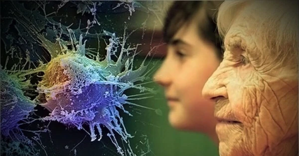 Doctors Explain Why Inflammation Accelerates Aging