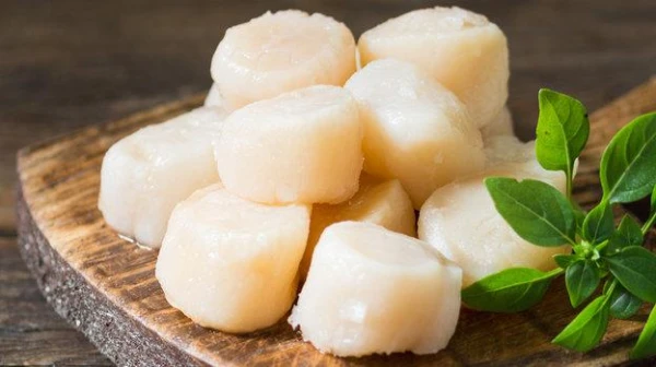 The Nutritionist Highlighted the Most Beneficial Seafood