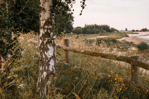 Leaving Riga: Demand for Housing in the Regions is Rapidly Growing