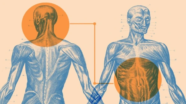 Scientists Find Link Between Waist Size and Brain Size