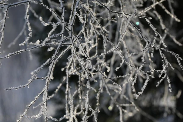 Ice on top, ice below. Meteorologists did not please with the forecast for Saturday