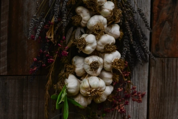 Garlic and Cold: What It Can and Cannot Do