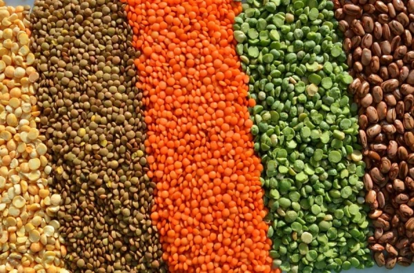 The therapist named a product that helps reduce sugar and weight