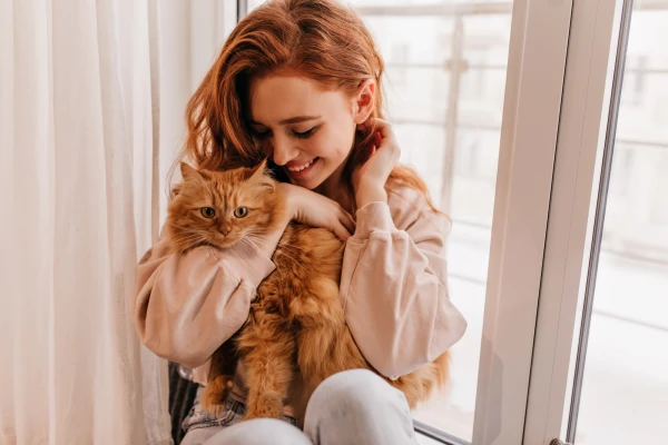 Earning a Cat's Trust is Easy: Proven Life Hacks for Owners