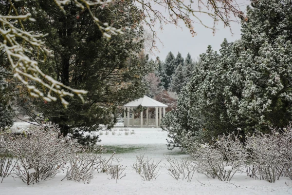 Фото:  nometnemellene.lv