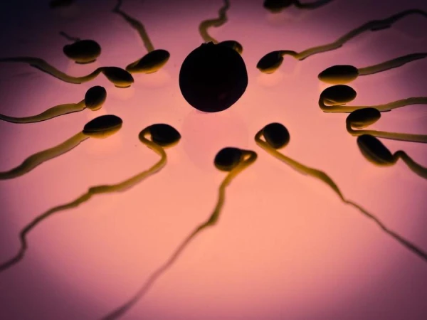 To prevent fools from being born... sperm bank in Denmark requires donors to provide proof of their IQ