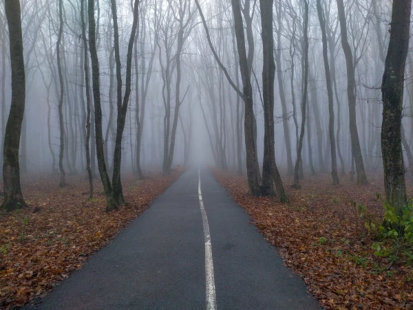 December is like September: it will be unusually warm in Latvia tomorrow