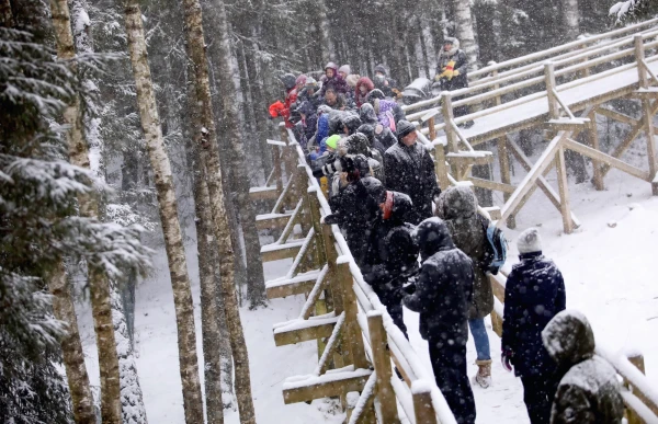 In Ligatne, an Invitation to Meet the Night Dwellers of the Forest