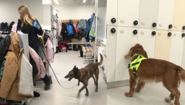 Police with dogs arrived at schoolchildren in Carnikava in search of prohibited substances