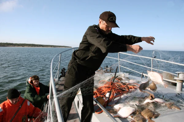 No more fish from Ragaciems and Salacgriva? Fishermen shocked by the destruction of their profession