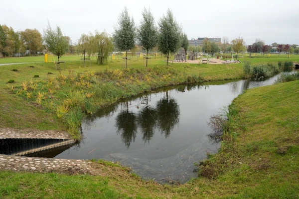 Last year, no new trees were planted in most areas of Riga