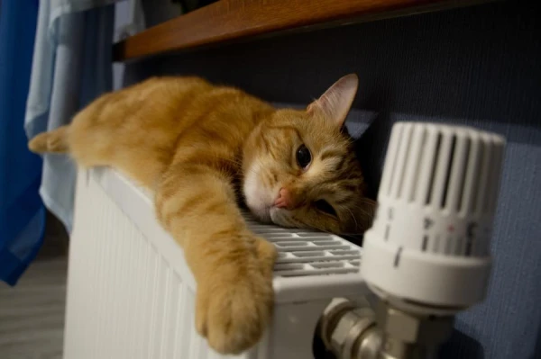 It will be warm and humid: December weather in Latvia is not like winter