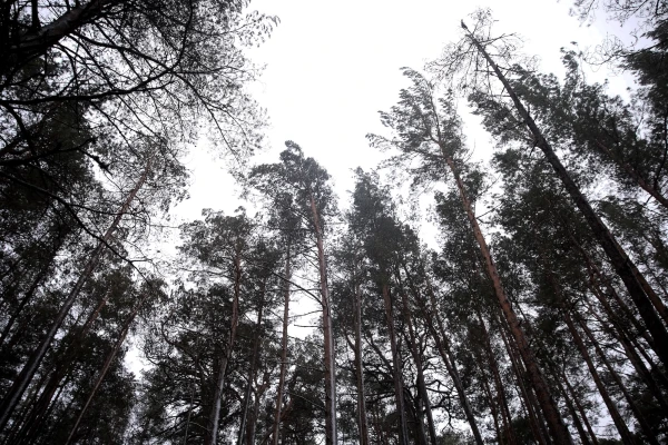 On Tuesday, the weather conditions are determined by the southern part of the cyclone