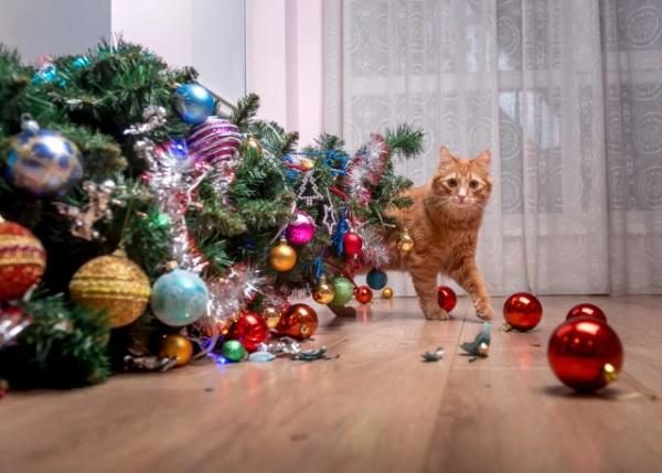 How to Protect Your Christmas Tree from Cats with Foil and Ingenuity