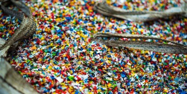 The Harsh Truth About Plastic Recycling Revealed: What This Process Really Looks Like