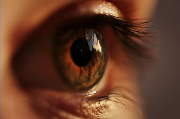 Dangerous Causes of Floaters in the Eyes Identified