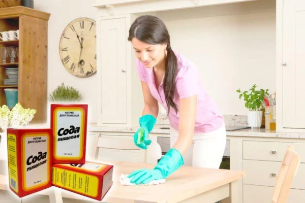 Saving on Cleaning: How Not to Spend Extra Money on Household Chemicals?