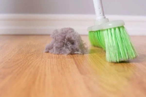 Why There Is More Dust in the Apartment in Winter Than in Summer