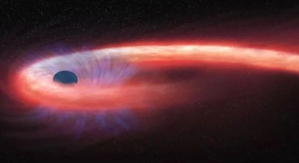 Перед тем, как вещество звезды падает в черную дыру, оно закручивается вокруг нее в виде аккреционного диска.