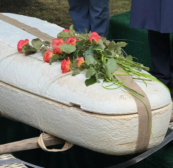 Нидерланды