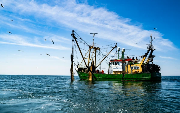 Fishermen Achieve a Pause: Minister Returns Environmental Protection Plan for Revision