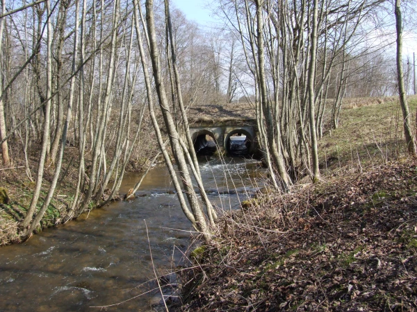 Ecologists Sound Alarm: Straightened Rivers Intensify Flooding in Latvia