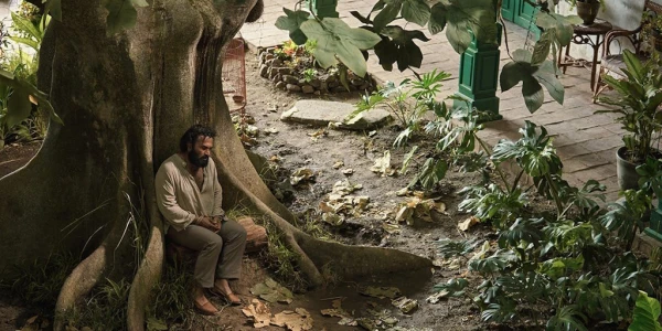 The second part of 'One Hundred Years of Solitude' will be released in August 2026