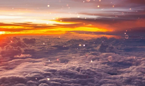 Остроумный план ученых может натолкнуться на общественное недовольство.