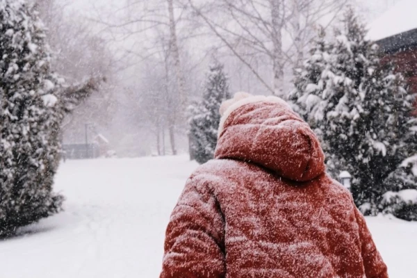 Getting Ready: Severe Frosts Are Coming to Latvia. Meteorologists Warn Residents